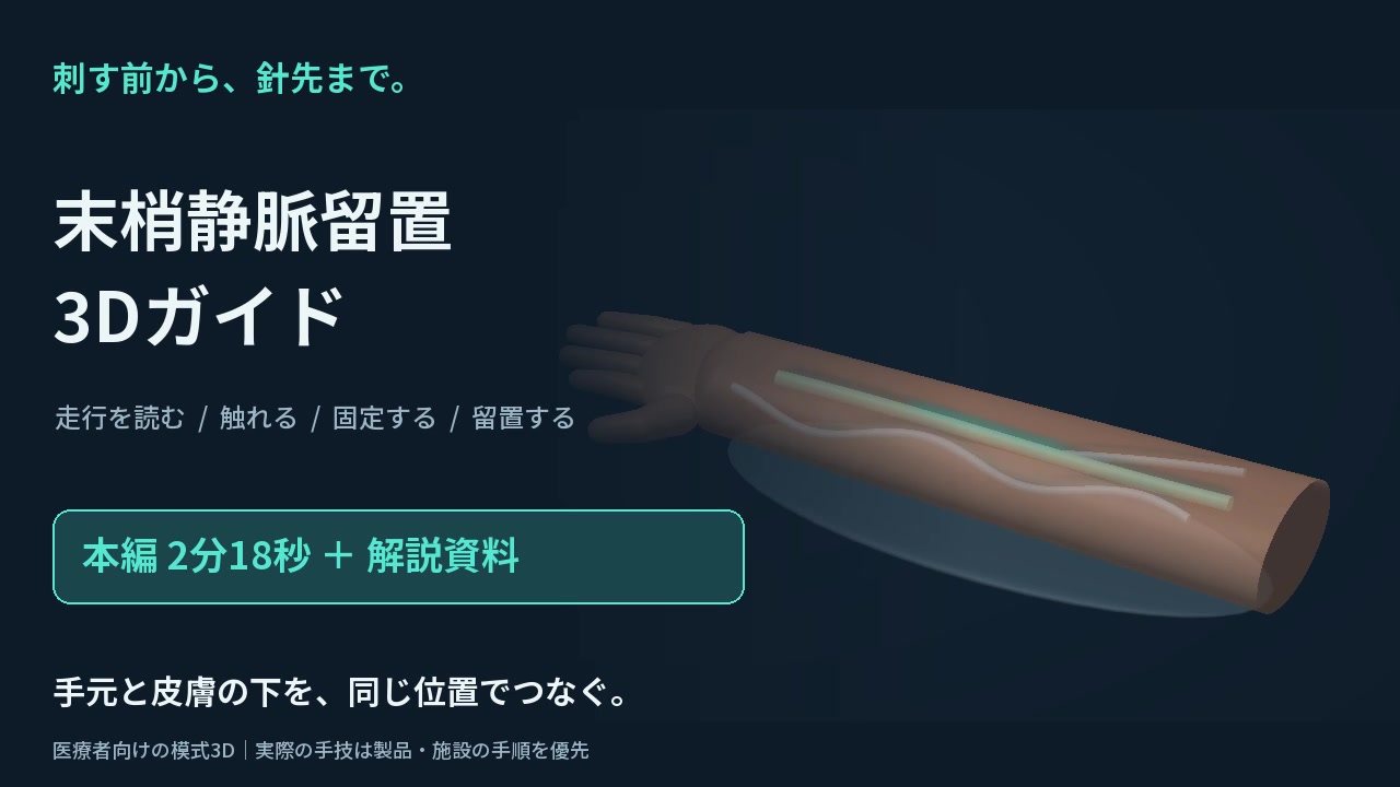 末梢静脈留置3Dガイド。本編2分18秒と解説資料。皮下の血管を透視した前腕の模式3D